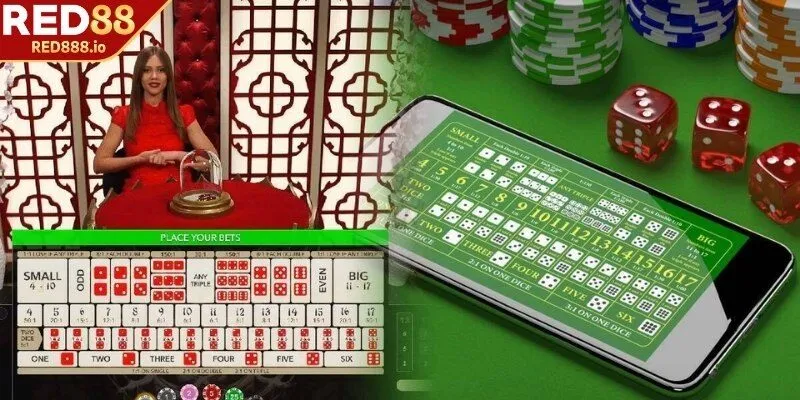 Chơi lâu dài quản lý vốn thông minh